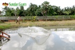 sundargram_fishing