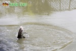 sundargram_fishing1