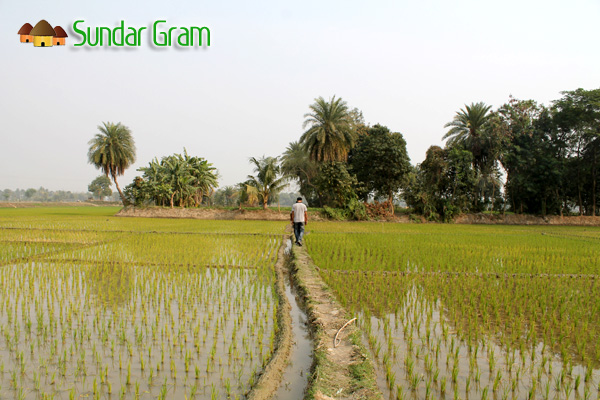 Village Walks at Sundar Gram